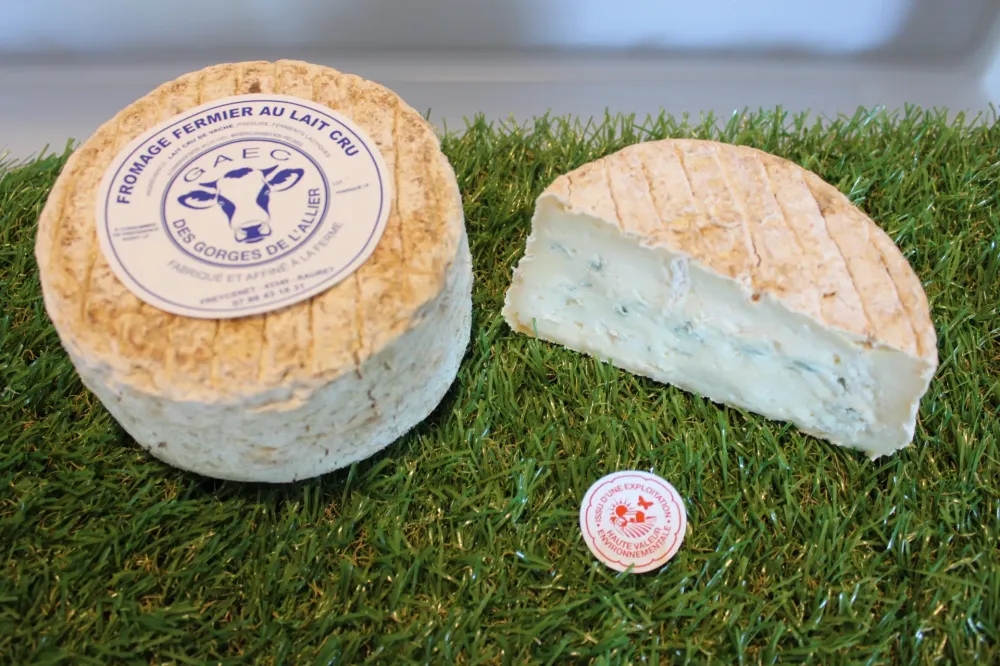 Tomme bleue