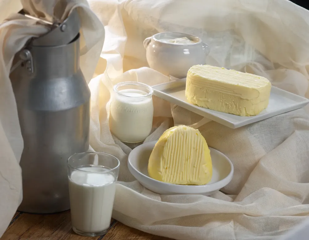 AdobeStock_47459767-min