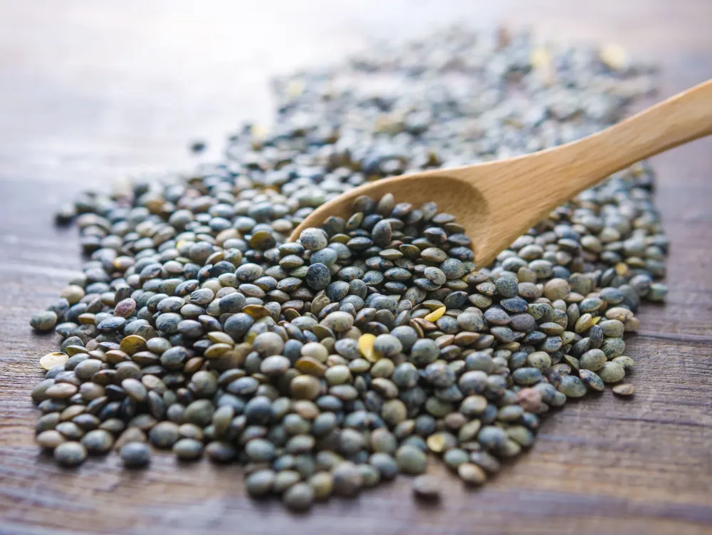 AdobeStock_94286262-min